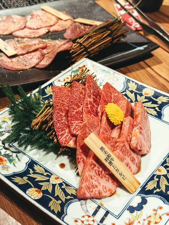 Autour Japan photo 41